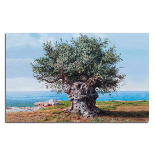 Πινακας Ζωγραφικης Old olive tree near the sea
