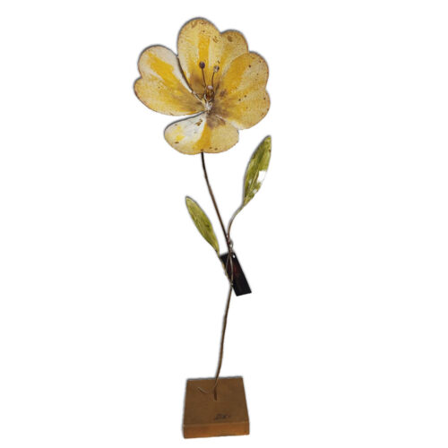 Διακοσμητικο Λουλουδι Κιτρινο, Επιτραπεζιο